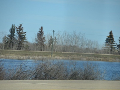 pic4may17_88