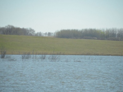 pic5may17_22