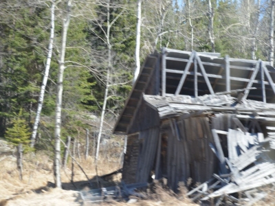 pic7may17_05