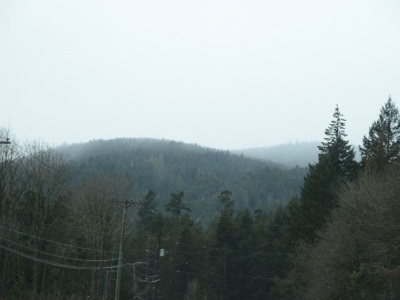pic8mar17_01
