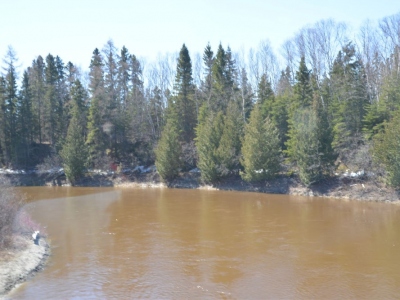 pic8may17_115