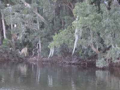 DSC_8783