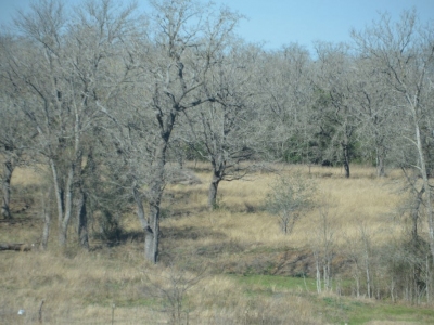 picsanantonio17_03