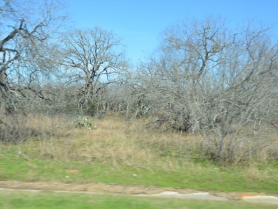 picsanantonio17_07