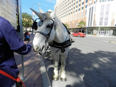 picsanantonio17_378